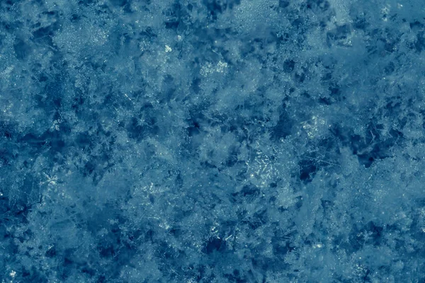 Abstract icy snowy cold background with real snowflakes macro in cold blue tones. Winter weather texture. New Year and Christmas greeting card background