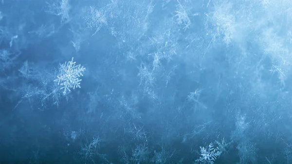 新年和圣诞节抽象冰冷的雪的背景与真正的雪花宏在冷的蓝色色调 寒冷的冬天背景 — 图库照片