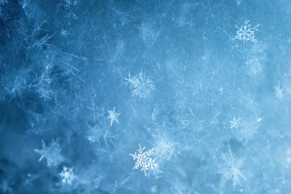 Πρωτοχρονιά Και Χριστούγεννα Αφηρημένη Παγωμένο Χιόνι Υπόβαθρο Μακροεντολή Πραγματικό Νιφάδες — Φωτογραφία Αρχείου