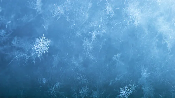 Año Nuevo Navidad Abstracto Fondo Nevado Helado Con Verdaderos Copos Imágenes De Stock Sin Royalties Gratis