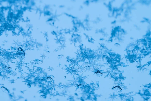 Nieuwjaar Kerstmis Abstracte Ijzige Besneeuwde Achtergrond Met Echte Sneeuwvlokken Macro — Stockfoto