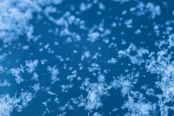 Año Nuevo Navidad Abstracto Fondo Nevado Helado Con Verdaderos Copos Fotos De Stock Sin Royalties Gratis