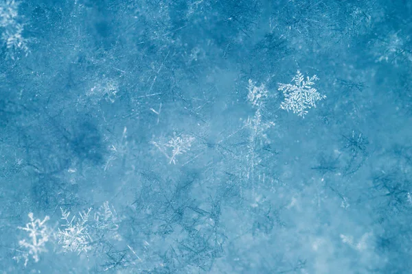 Nieuwjaar Kerstmis Abstracte Ijzige Besneeuwde Achtergrond Met Echte Sneeuwvlokken Macro — Stockfoto