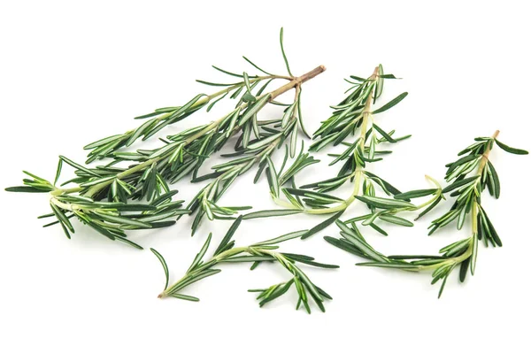Rosemary hierba picante alimentos aislados sobre fondo blanco —  Fotos de Stock