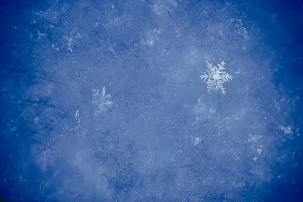 新年和圣诞节抽象冰冷的雪背景与真正的s — 图库照片