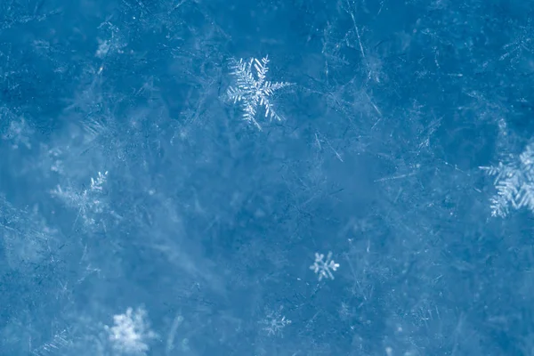 Gerçek s ile Yeni Yıl ve Noel soyut buzlu karlı arka plan