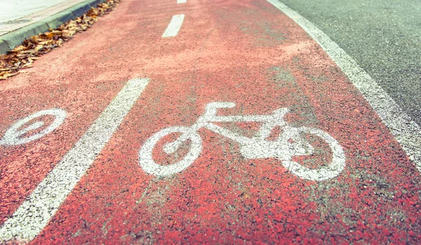Simbolo della pista ciclabile sulla pista ciclabile con foglie autunnali — Foto Stock