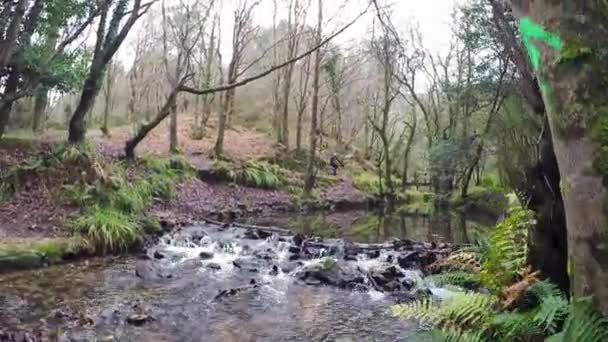 Vtt Vélo Traversée Rivière Dans Forêt Automne — Video