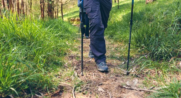 Couple of hikers doing trekking — Stock Photo, Image