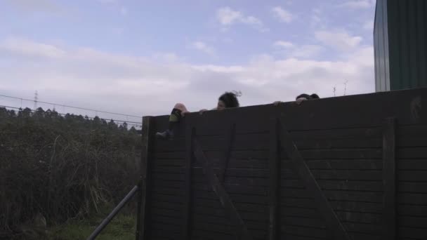 벽을 오르는 장애물 코스에 참여하는 사람들 — 비디오