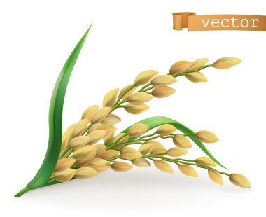 Rice. 3d vector icon clipart