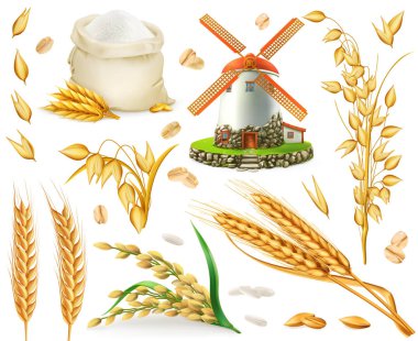 Buğday, pirinç, yulaf, arpa, un, değirmen, tahıl. 3D gerçekçi vektör Icon set