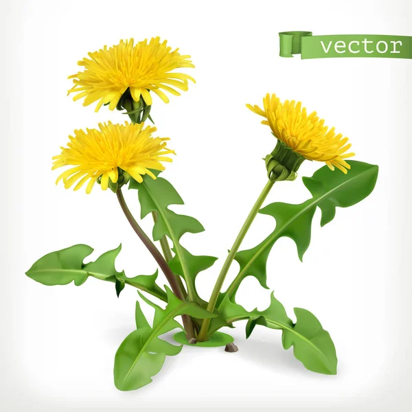Fleurs Pissenlit Icône Vectorielle — Image vectorielle