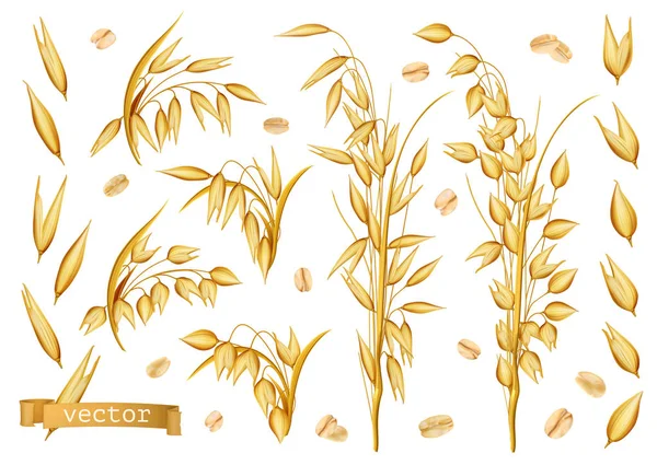 燕麦植物 燕麦卷 3D现实矢量图标集 — 图库矢量图片