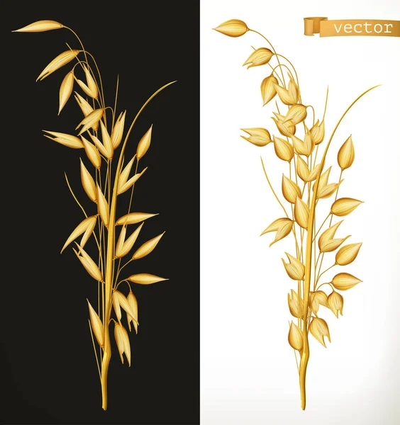 Avena Icono Vector Realista — Vector de stock