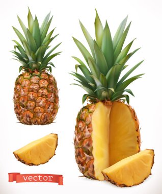 Ananas. Taze meyve 3d gerçekçi vektör simgesi