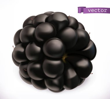 BlackBerry. Taze meyve 3d gerçekçi vektör simgesi