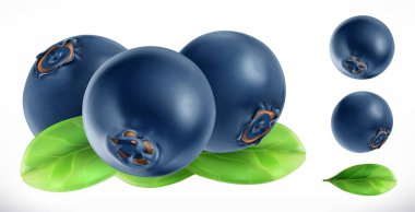 Blueberry. Fresh fruit 3d realistic vector icon clipart