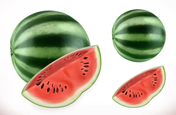 Vattenmelon Färsk Frukt Realistisk Vektor Ikon — Stock vektor