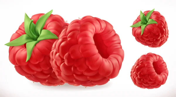 Des Framboises Fruit Frais Icône Vectorielle Réaliste — Image vectorielle