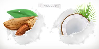 Badem, Hindistan cevizi ve süt sıçrama. 3D gerçekçi vektör