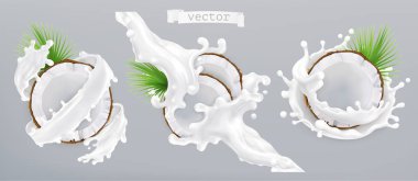 Hindistan cevizi ve süt sıçrama. 3D gerçekçi vektör simgesi