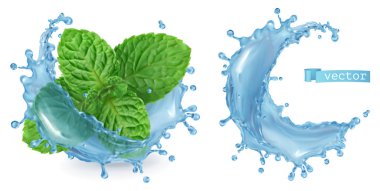 Splash su ve nane. 3D gerçekçi vektör