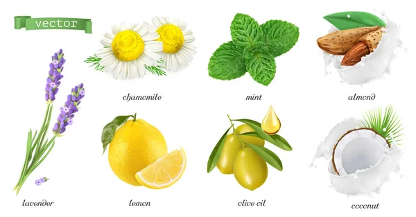 Medicinalväxter Och Smaker Kamomill Mynta Lavendel Citron Mandel Kokos Olivolja — Stock vektor