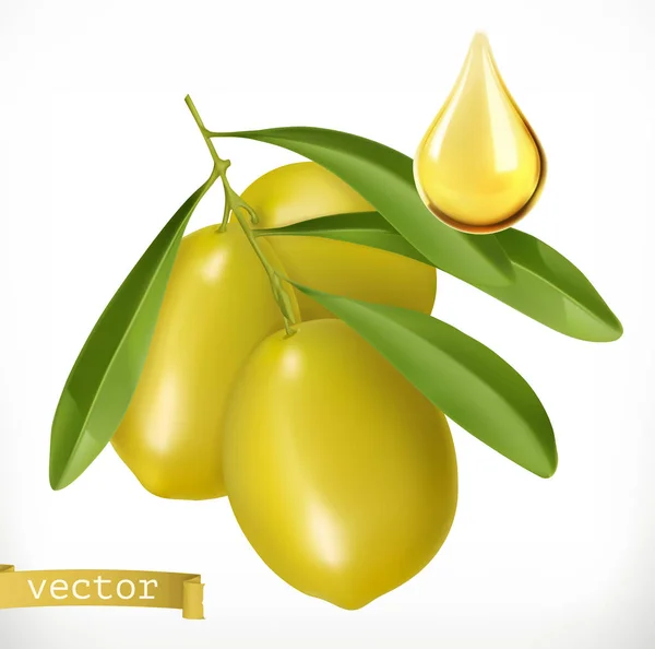 Olives Goutte Huile Icône Vectorielle Réaliste — Image vectorielle