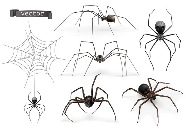 Araña Realista Halloween Vector Icono Conjunto — Vector de stock