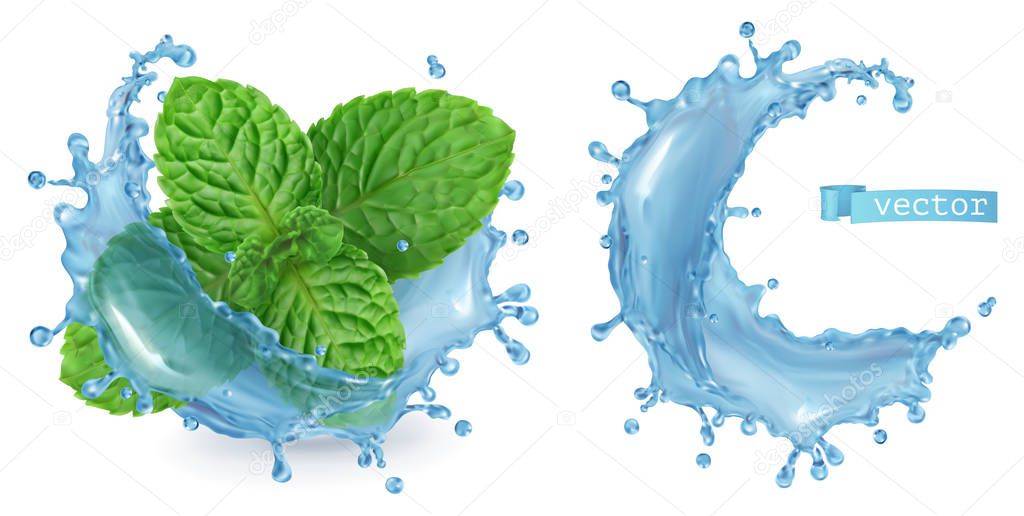 Splash water and mint. 3d realistic vector
