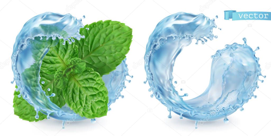 Splash water and mint. 3d realistic vector