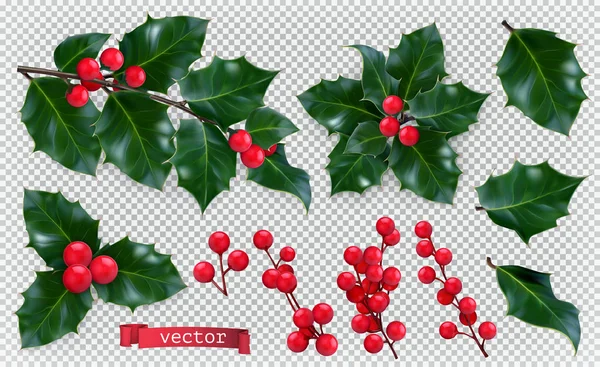 Dekoracje na Boże Narodzenie. Holly, czerwone jagody. 3D realistyczne wektor zestaw ikon — Wektor stockowy