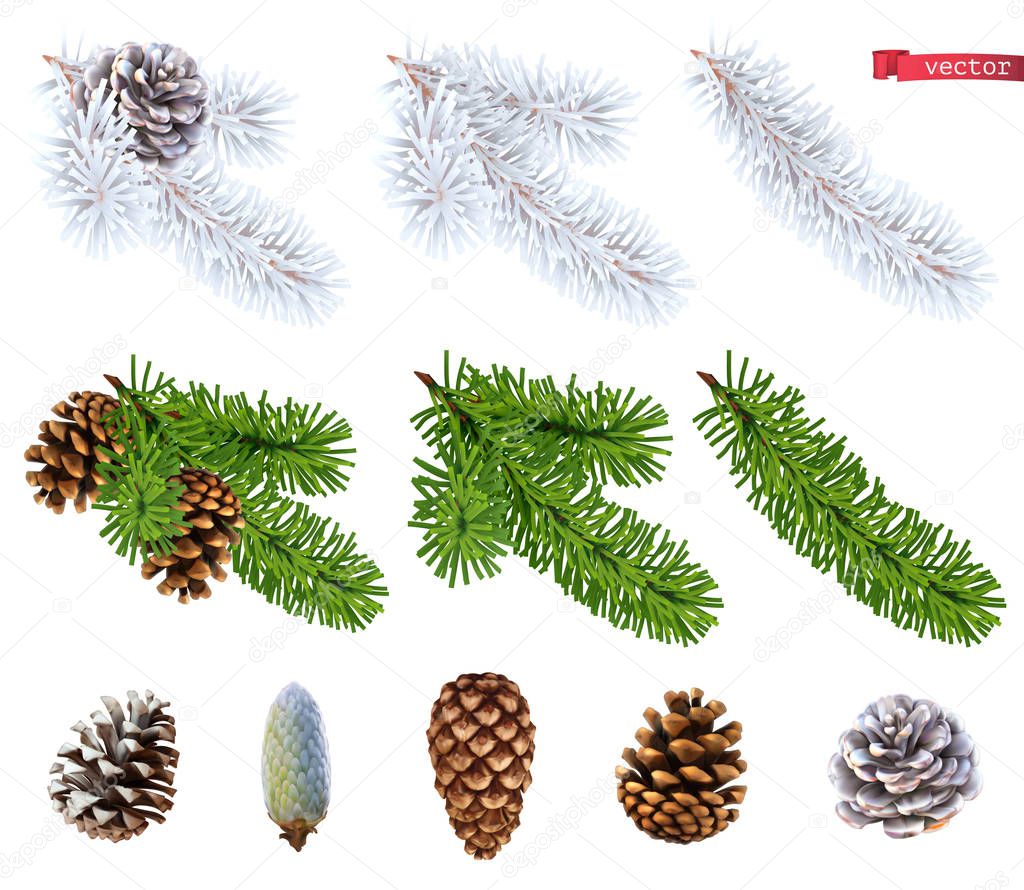 Christmas trees and pine cones. 3d realistic vector icon set