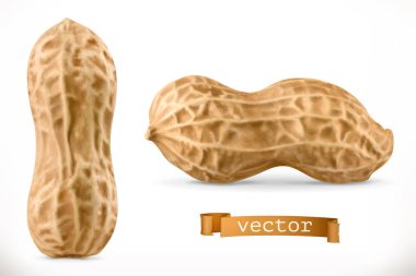 Peanut. 3d vector realistic icon clipart