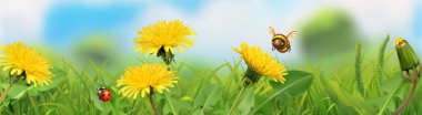 Bahar manzara. Yeşil çim ve sarı dandelions. 3D vektör yatay panorama