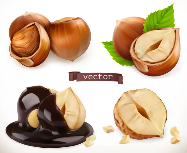 Hazelnut. 3d realistic vector icon set — Stock Vector