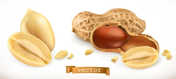 Peanut. 3d realistic vector icon set — Stock Vector