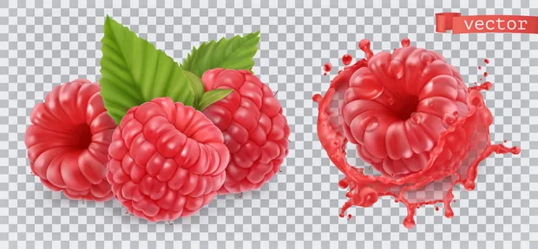 覆盆子甜水果。3D现实矢量图标 — 图库矢量图片