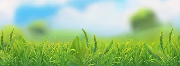 Paisaje primavera. Ilustración vectorial hierba verde — Vector de stock