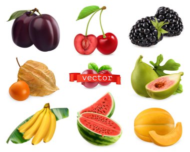 Taze meyveler ve meyveler. Erik, kiraz, böğürtlen, physalis, incir, muz, karpuz, kavun. 3d gerçekçi vektör seti