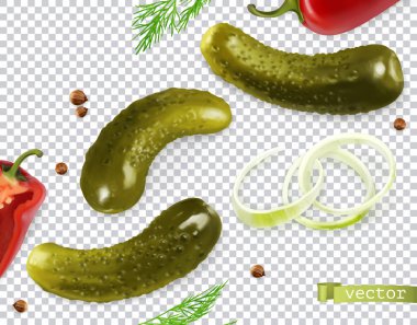 Salatalık turşusu. Gherkin, dereotu, biber, soğan, kişniş tohumu. 3d vektör gerçekçi sebzeler