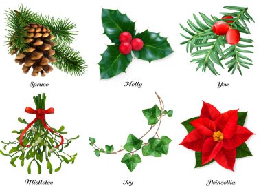 Plants, Christmas decorations. Spruce, holly, yew, mistletoe, ivy, poinsettia. 3d realistic vector set clipart