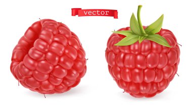 Kırmızı ahududu vektörel görüntü. Taze meyve. 3d gerçekçi vektör simgesi