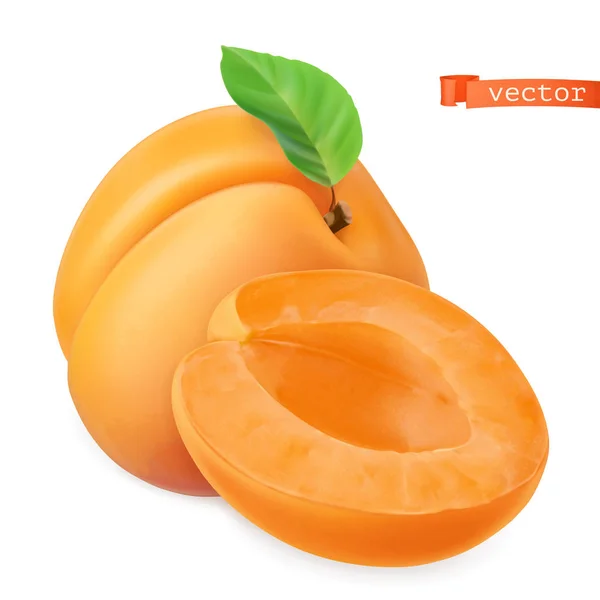 Abrikoos vectorized afbeelding. Vers fruit. 3D realistisch vector icoon — Stockvector