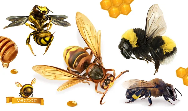 蜜蜂，大黄蜂，黄蜂，黄蜂。3d 逼真的矢量图标集 — 图库矢量图片
