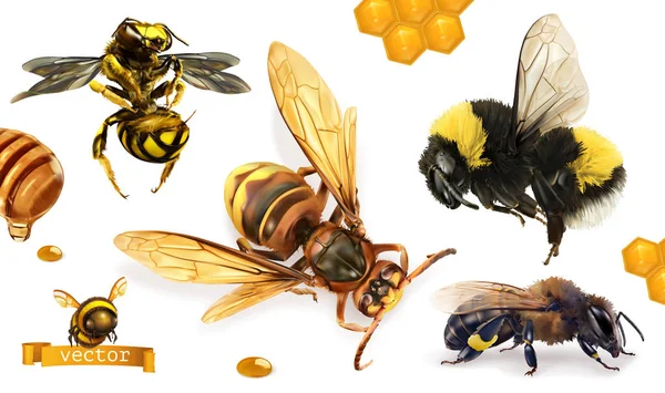 Bee, bumblebee, wasp, hornet. 3d realistic vector icon set — Stock Vector