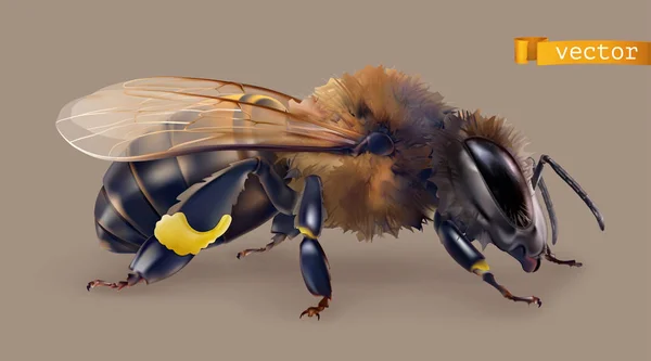 Včela. 3D realistická ikona vektoru — Stockový vektor