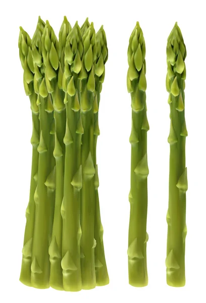 Asperges de jardin. Herbe moineau, vecteur réaliste 3d — Image vectorielle