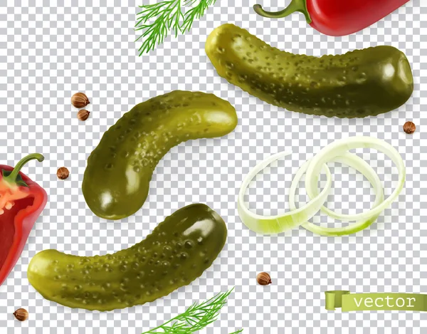 Pepinos en escabeche. Gherkin, eneldo, pimienta, cebolla, semillas de cilantro. 3d vector realista verduras — Archivo Imágenes Vectoriales